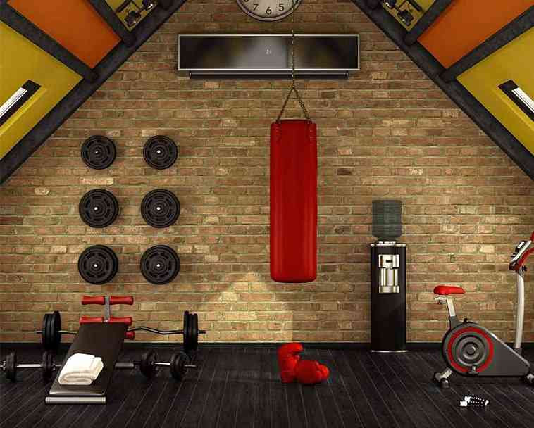 Gym Equipment